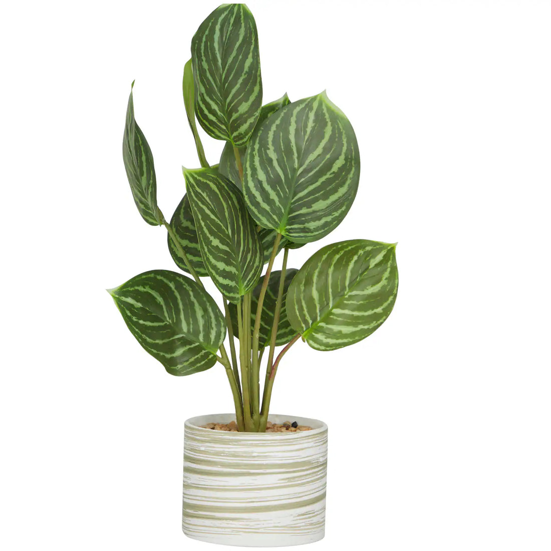 2 Ft Green Faux Foliage Calathea – Realistic Artificial Plant for Home and Office Decor